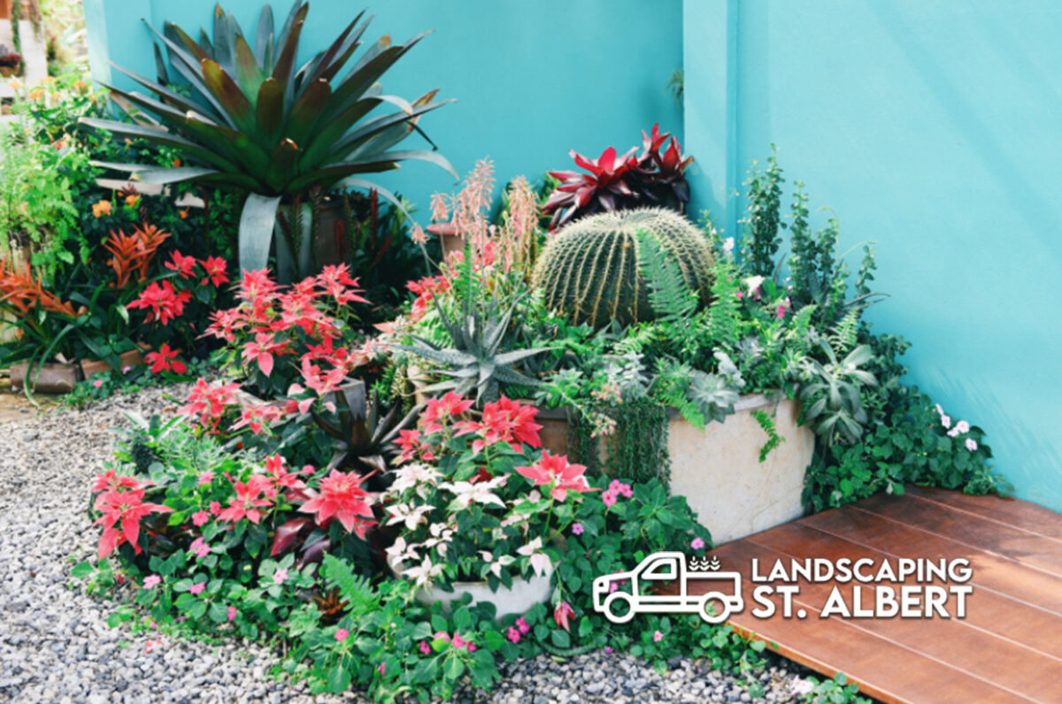 Gas Fireplace Repair St Albert Sunny Landscaping In St Albert